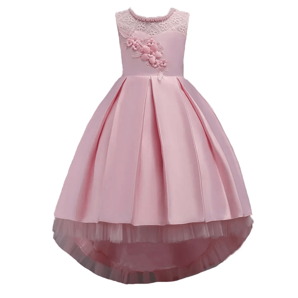 Robe de Princesse Rose Pale