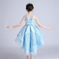 Robe de Princesse Bleu Ciel