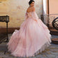 Robe de Mariée Rose Princesse