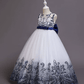 Robe Princesse avec Cerceau