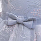 Robe Princesse Grise