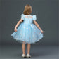 Robe Princesse Fille Anniversaire