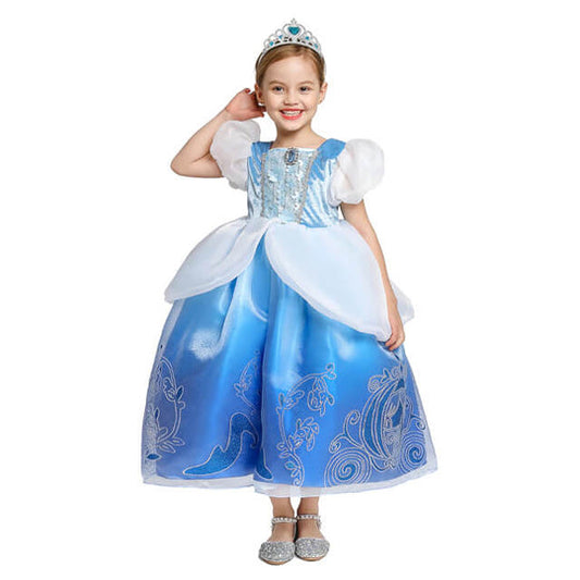 Robe princesse bleu et blanche