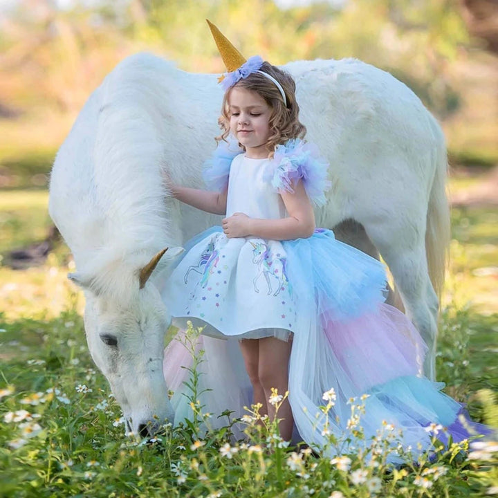 Robe princesse carnaval enfant
