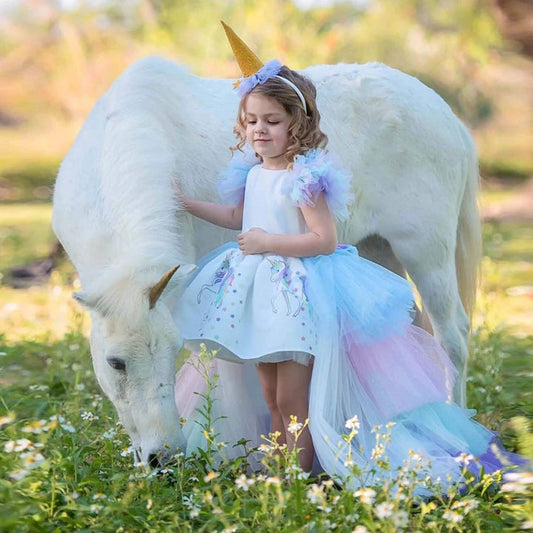 Robe princesse carnaval enfant