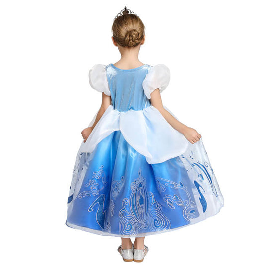 Robe Princesse Bleue et Blanche