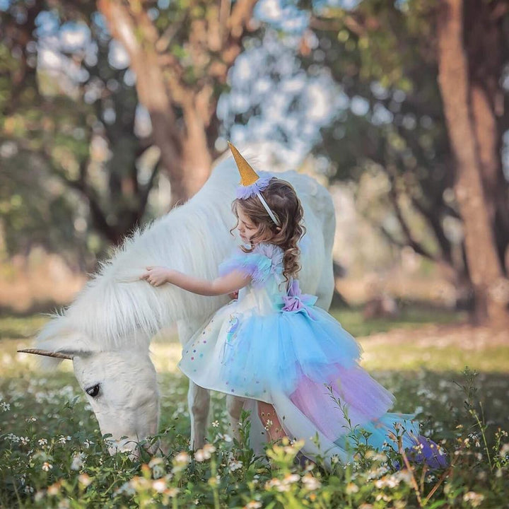 Robe Princesse Carnaval Enfant