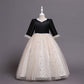 Robe Princesse Anniversaire
