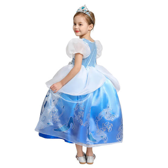 Robe Princesse Bleue et Blanche