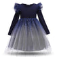 Robe Princesse Bleue Fille