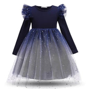 Robe Princesse Bleue Fille