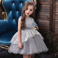 Robe Princesse Grise