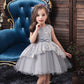 Robe Princesse Grise