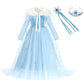 Robe Princesse Fille Carnaval