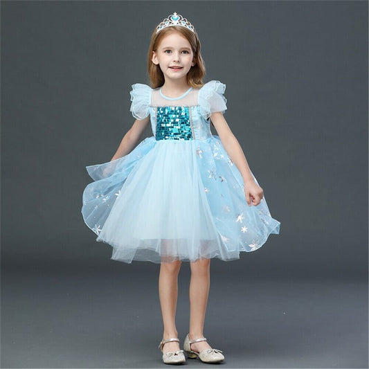 Robe princesse fille anniversaire