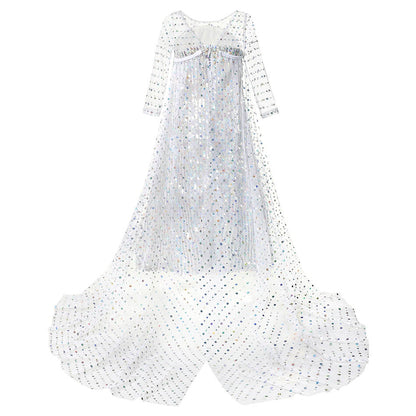 Robe Princesse Argentée