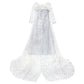Robe de Princesse avec Traine